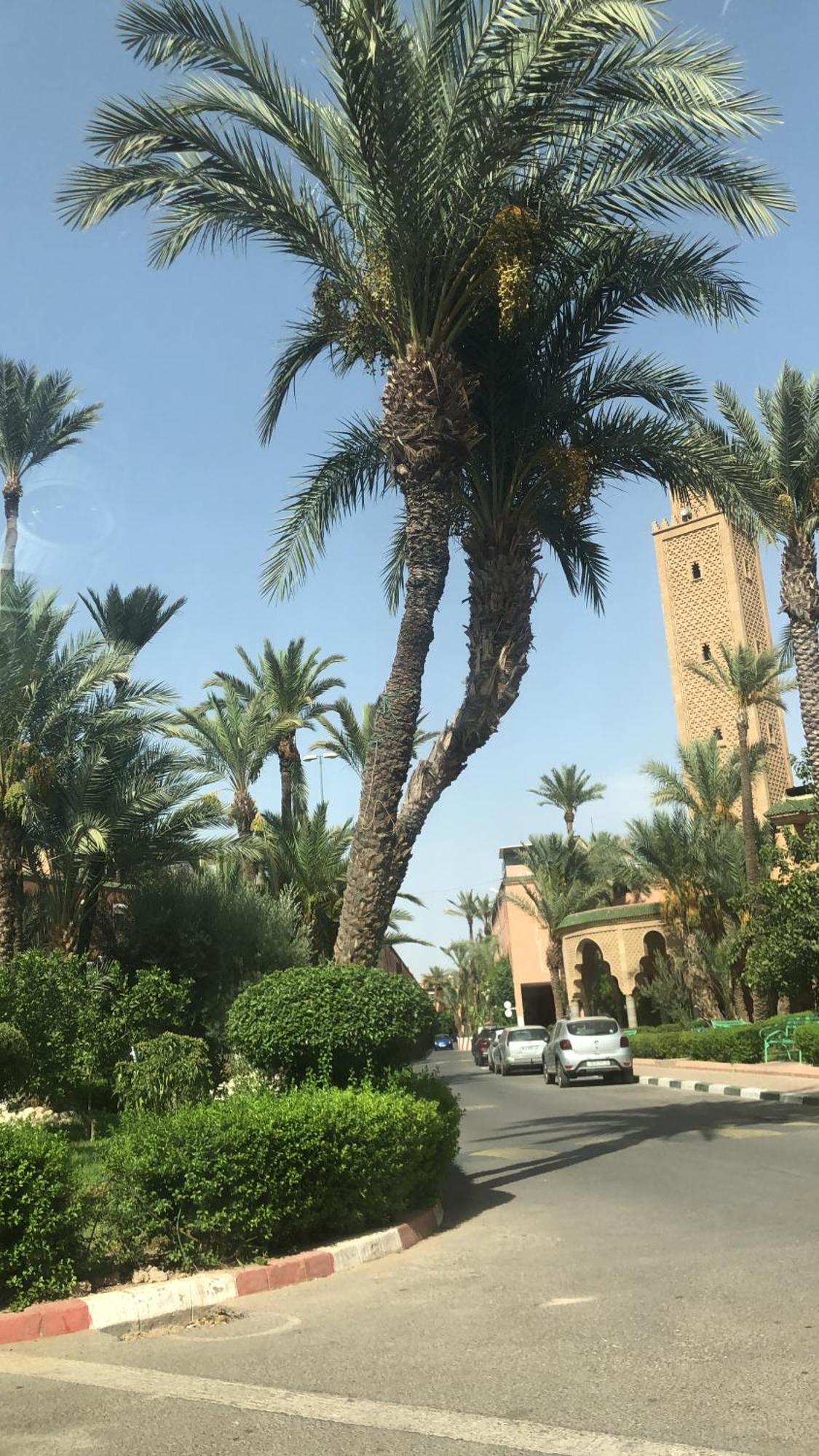 Riad Lyna Marrakesh Exterior photo